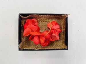 créoles fleurs rouges